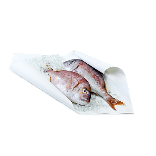 Papier enduit thermoscellable poisson